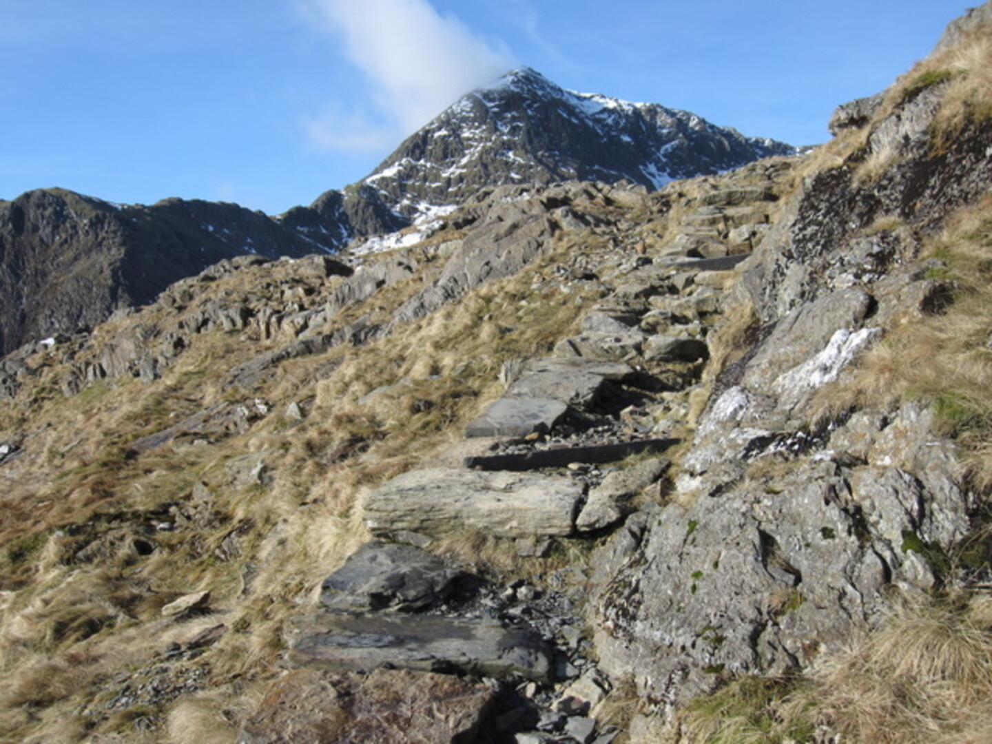 Pyg Track